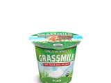 yogurt_6oz_plain